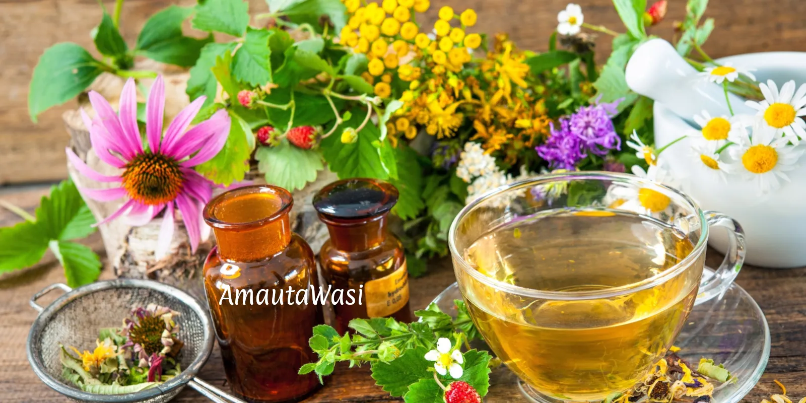 El Método Natural de Salud El Método Natural de Salud