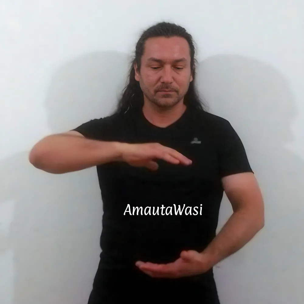 Taller semanal de Qigong Taller semanal de Qigong